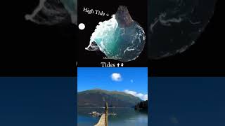 Physics High amp low Tides  Animation Explain shorts physics animation science viral tranding [upl. by Analli331]