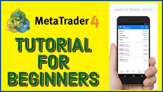 MetaTrader 4 Tutorials How to Use MetaTrader 4 for Beginners 2023 Update [upl. by Nerrol]