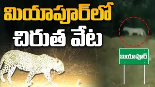 మియాపూర్ లో చిరుత సంచారం  Leopard at Miyapur Metro Station  Breaking News  Hyderabad  VSB TV [upl. by Nirak]