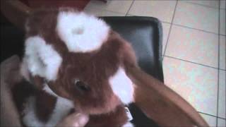 Gremlins  Peluche Gizmo [upl. by Shalne851]