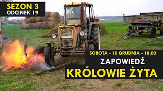 Królowie Żyta Sezon 3 odcinek 19 I ZAPOWIEDŹ I Kabaret Malina [upl. by Ailsa]