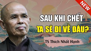 Khi Chết Ta Đi Về Đâu Nghe Thầy Giảng Mà An Lòng Nhẹ Nhàng  Thiền Sư Thích Nhất Hạnh Giảng [upl. by Ailuig]