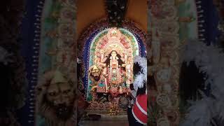 Sarisha Para। Chandannagar Jagadhatri Puja 2024। shorts [upl. by Elleved]