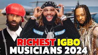 Top Richest Igbo Musicians 2024 amp Their Networth [upl. by Kramlich]