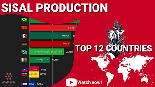 TOP 12 countries by Sisal Production [upl. by Davis775]