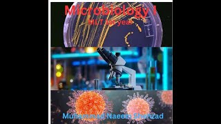 Lecture 3 MLT 1st Coagulase Test Microbiology 1 By Muhammad Naeem Shehzad [upl. by Gaskin351]