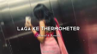 laga ke thermometer  slowed reverb  Bhojpuri songchandan vibxz [upl. by Gerta]