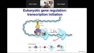 Webinar 12 Transcriptional and postranscriptional regulation of gene expression [upl. by Arodal]