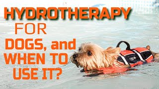 🐶💧WHAT is HYDROTHERAPY for DOGS and when to USE IT [upl. by Aicilev]