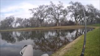 Huddleston swimbait catches 5lb bass [upl. by Nima]