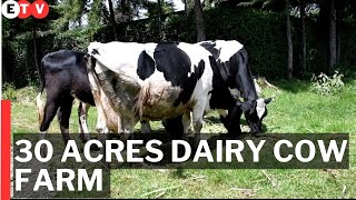 30 Acres Dairy Cow Farm in Laikipia Kenya [upl. by Nilesoy]