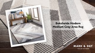 Boksheide Modern Medium Gray Area Rug [upl. by Tina]