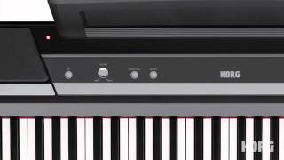 Korg SP170S Digital Piano  A Students Perspective [upl. by Anotyal]