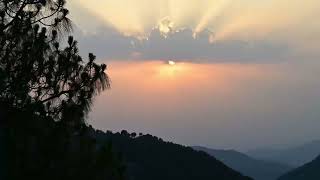 Vianaar Homes Kasauli  Exclusive Cottages for sale in Kasauli [upl. by Kenric655]