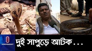 অজগর পদ্মগোখরো আর বেজি ছিলো টিয়া অবমুক্ত হাতিরঝিলে…  Snake Python Parrot [upl. by Pavkovic]