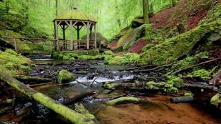 das romantische Karlstal bei Trippstadt im Pfälzerwald [upl. by Heins970]