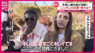 【見頃迎えた“日本の紅葉”】外国人観光客が語る魅力は？ [upl. by Ecidnacal]