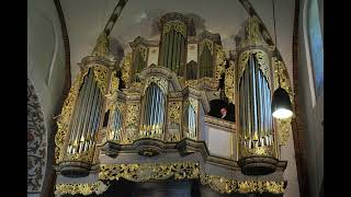 Vincent Lübeck  Praeludium in G Minor LubWV 12  Krzysztof Urbaniak organ Mölln live [upl. by Jaella]