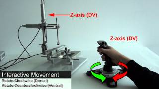 Motorized Stereotaxic 2 Probe Navigation [upl. by Naj]