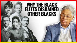 The Untold History of The Free Blacks in America [upl. by Vaules]