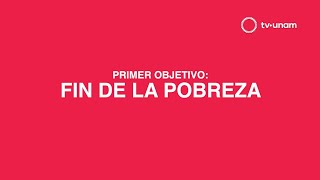 LA ESTAFA MAESTRA OBSERVATORIO AGENDA 2030 FIN DE LA POBREZA primera parte [upl. by Eddi]