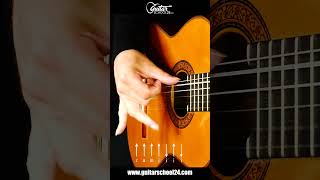 Flamenco Guitar Solo  quotPanaderos Flamencosquot RasgueadoRhythm [upl. by Koenraad]