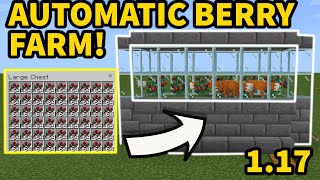 Minecraft 117 EASY AUTOMATIC SWEET BERRY FARM Java  Bedrock MCPEXboxPSSwitchWindows10 [upl. by Barkley710]