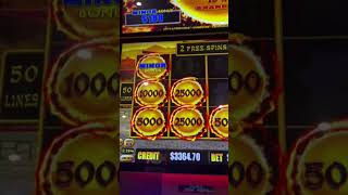 A Minor Bonus Can Make Your Day ❤️  Aussie Pokie Wins dragonlink casino [upl. by Bil]