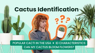 Identify Cactus like a Pro with Pictures amp Names [upl. by Tsiuqram34]