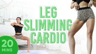 20 Minute Leg Slimming Cardio Pilates Workout  7 Day Thigh Challenge do this video every day [upl. by Fillian]