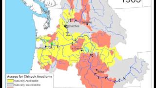 Columbia River Basin Salmon Extirpation Map [upl. by Ahsima]