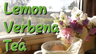 The Surprising Benefit of Lemon Verbena Tea [upl. by Garin]