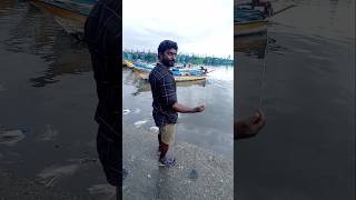 Unbelievable Big Fish Catch with 12 EMPTY Hooks fishing fishingvideos thoondilulagam seafishing [upl. by Aicilat]