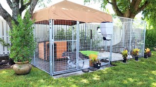 The Ultimate Dog Kennel System  Caona Bully Kennels 😀 2020 Yard Tour Kennel Setups and Upgrades [upl. by Adnek393]