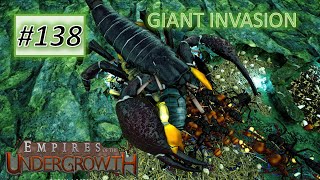 Empires of the Undergrowth 138 Giant Invasion [upl. by Lovering]