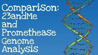 Comparison 23andMe and Promethease Genome Analysis [upl. by Miehar]