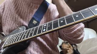 ZEMAITISって見た目が勝負‼️🤣謎に包まれた実力とは❓️🤣🤣music guitar ギター rock ZEMAITIS弾いてみた [upl. by Dnomad878]