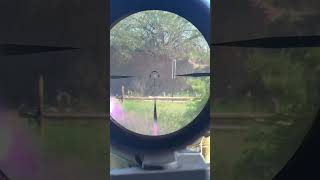 Vortex Strike Eagle Gen2 ARBDC3 Reticle plinking shooting [upl. by Zaslow542]