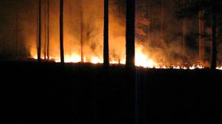 Prescribed burning in Southwest Georgia [upl. by Neelie]