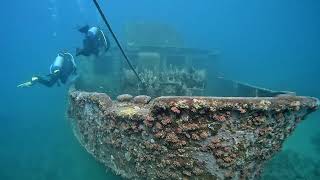 Scuba diving Bayahibe Dominican Republic Nov 2022 FPose [upl. by Ikcir145]