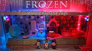 FROZEN Themed Hamster Cage Dwarf Hamster Sisters [upl. by Nnelg]