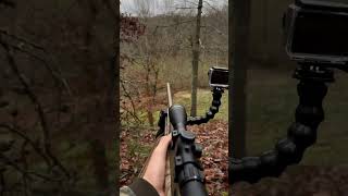 Listen to These coyotes hunting outdoors shorts subscribe [upl. by Hobard88]