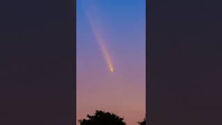 Comet Atlas A3 C2023 from the dark skies of Tennessee CometC2023A3 comet cometA3 trending [upl. by Aikkan]