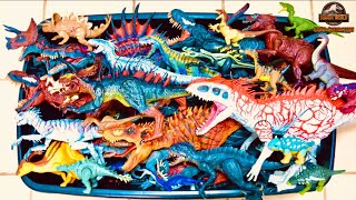 100 DINOSAURIOS DE JURASSIC WORLD amp CAMP CRETACEOUS EN MEGA CAJA COLOSAL CON SÚPER HÍBRIDOS [upl. by Lou806]