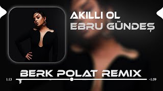 Ebru Gündeş  Akıllı Ol  Berk Polat Remix   Akıllı Ol Senin Aklını Alırım [upl. by Koerlin]