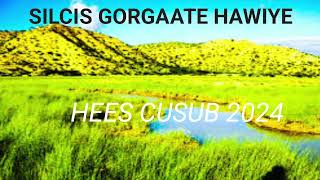 HEES CUSUB SILCIS GORGAATE HAWIYE BOQORTOOYO2024 [upl. by Cassady]