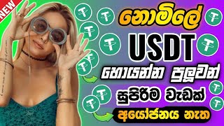 How to earn free usdt coinUsdt investment site 2024Earn money online sinhalaUsdt mining site [upl. by Dreddy484]