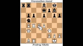 Brilliant Game by Vishy Anand  Predrag Nikolic vs Viswanathan Anand Groningen Candidates 1997 [upl. by Balac]