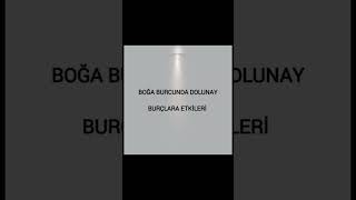 astrolojigünlüğü boğaburcundadolunay dolunay burçlar burçyorumları shortsvideo [upl. by Yme]