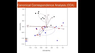 canonical correspondence analysis  CCA Past Software [upl. by Demmy126]